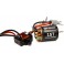 FIRMA 70A BR Smart ESC/15T  Brushed Motor Combo