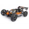 Vorza Buggy Nitro