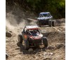 RZR Rey, 1/10 4WD Brushless RTR, FOX