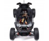 RZR Rey, 1/10 4WD Brushless RTR, FOX