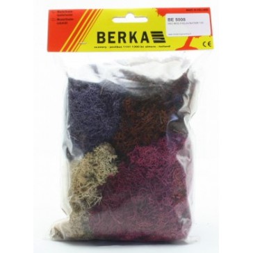 Lichens decoratifs (100 gr.)