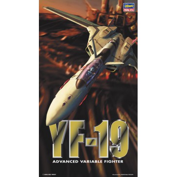 1/72 YF-19 ADVANCED VARIABLE FIGHTER 9 (1/23) *