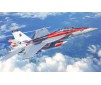 1/48 F/A-18F SUPER HORNET U.S. NAVY SPECIAL COLORS