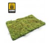 WILDERNESS FIELDS WITH BUSHES SPRING 230x130MM