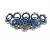 NT1 Set Of High-Speed Ball Bearings (24)