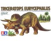 Triceratops Eurycephalus