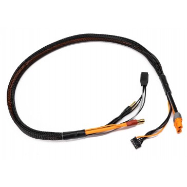 Pro Series Race 4s Charge Cable: IC3/5mm 2'