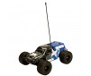 DISC.. Voiture Smash 2WD 1/18 Monster Truck bleu