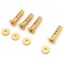 Body Mount EP Fantom 4WD - Gold