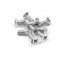 Screw Phillips M 2.5X6 (10)