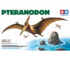 Pteranodon