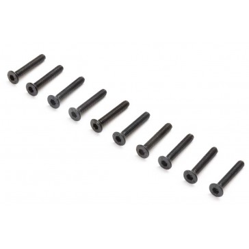 Flat Head Screws, M2x12mm (10)