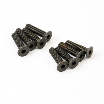 FLAT HEAD 2.5X10MM SCREWS