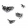MORAY SCREW SET