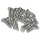 DISC.. Stainless Screw Flat Head 3x10mm (10pcs)