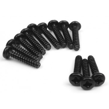 Pan Head Self Tapping Screws 3x15mm (12pcs)