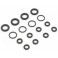 Shock  O-Ring Set EZ Series SandMaster 1:10 EP