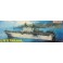 1/700 U.S.S. TARAWA