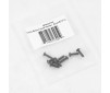 1/10 Ford 100 - Botton Head Pointer  Screw ST3*10 - APSC22102