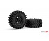 Crawling kit - EMOX4 1/8 RTR Brushless kit (Grey)