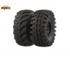 Crawling kit - EMO XX Stegosaurus 1/6 RTR 775 Brushed kit - Truck