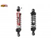 Crawling kit - EMO XX Stegosaurus 1/6 RTR 775 Brushed kit - Truck