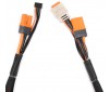 Charge Lead with Balance Extension 24 IC5 2-4S