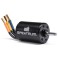 Firma 3650 4000Kv 4-Pole Sensorless Brushless Motor: 5mm