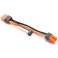 G2 Battery Adapter IC3 Battery/IC3 Device/3S Balance: Night Radian