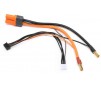 Adapter: IC5 Battery / 5mm Male Bullets with 6 wire: 2S/4S Smart Race