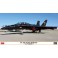 1/72 FA-18F SUPER HORNET VX9 VANDY 1 02447