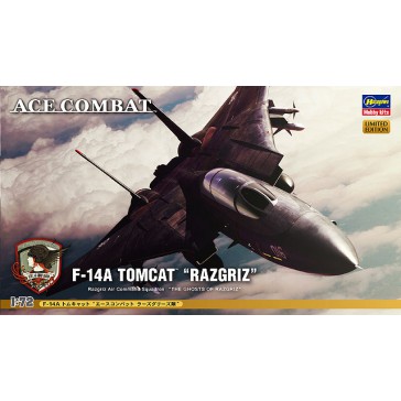 1/72 F-14A TOMCAT RAZGRIZ SP313