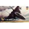 1/72 F-14A TOMCAT RAZGRIZ SP313