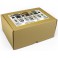 AMMO COLLECTIONS: ONE SHOT PRIMERS (01/25) *