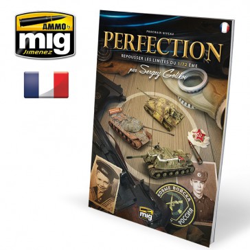 LIVRE PROCHAIN NIVEAU: PERFECTION LES LIMITES DU 1:72EME FR.