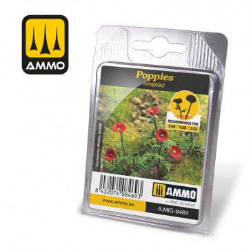 VEGETATION POPPIES