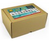 AMMO COLLECTIONS: PANEL LINE WASH (01/25) *