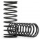 Springs, shock (natural finish) (GTX) (2.462 rate) (2)