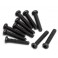 Round Head Screw M2x10 (10 )