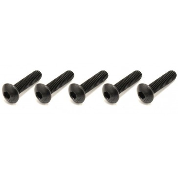 Vis Tete Ronde Hex M4x16mm (5)