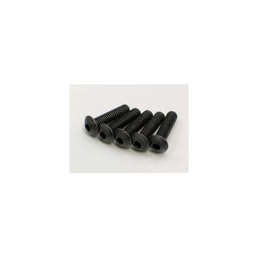 Vis Tete Ronde Hex M4x15mm (5)