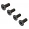 Flat Head Screw M4x10mm (4)