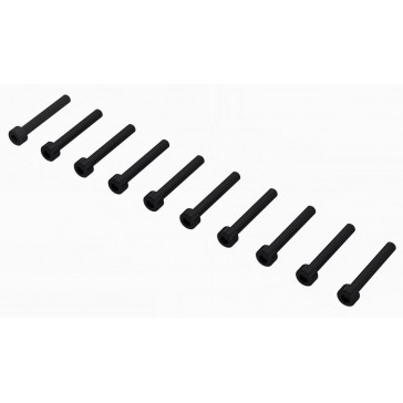 Cap Head Screw M3x22mm (10)
