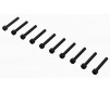 Cap Head Screw M3x22mm (10)