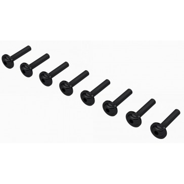Button Head Screw M3x16mm with Washer (8)