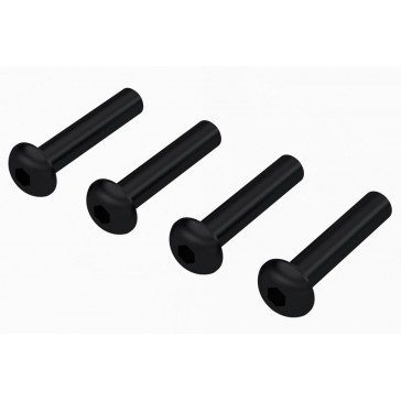 Button Head Screw M4x20mm (4)