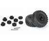 1/10 Badlands MX M2 Fr/Rr 2.2/3.0 SC Mounted 12mm Blk Raid (2)
