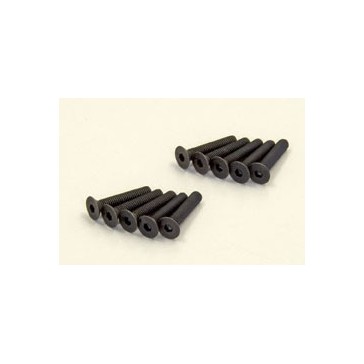 Vis M3x16mm Tete Fraisee Hex (10)