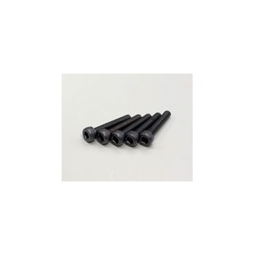 Metallic Cap Screws M3x18mm (5)