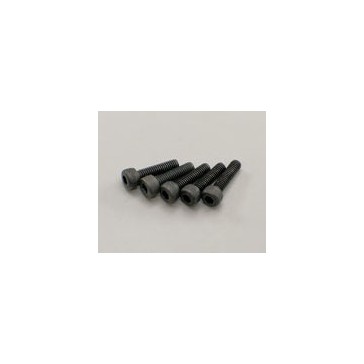 Vis Tete BTR Metal M2.6x10mm (5)